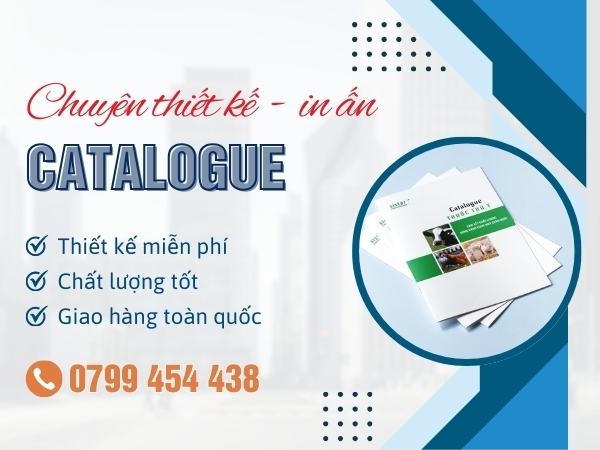 Địa chỉ in hồ sơ năng lực tin cậy tại Núi Thành Đà Nẵng